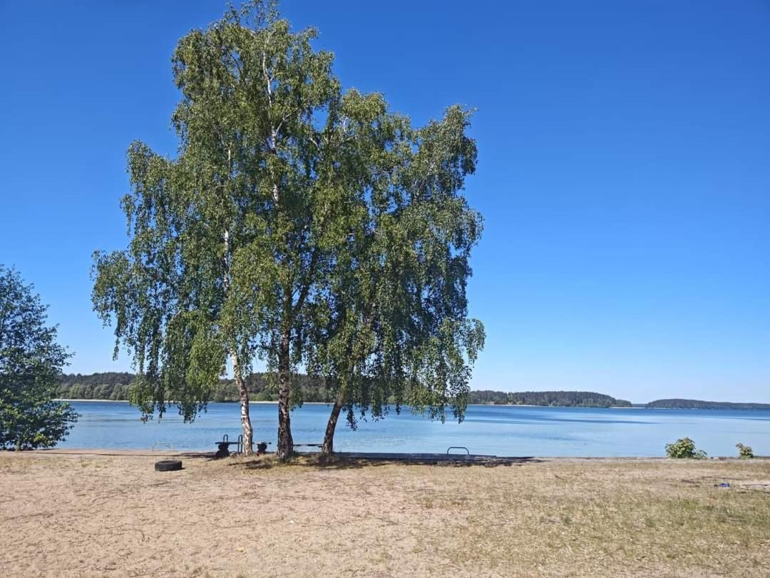 Willa Zakątek Wdzydze nad samym jeziorem - pierwsza linia Borsk Zewnętrze zdjęcie